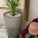 WhatsApp Image 2025-12-20 at 12.48.08 PM (2)