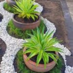 WhatsApp Image 2025-12-20 at 12.48.11 PM (1)