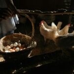 pexels-cottonbro-4911793